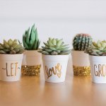 tropiart.pl-tropiart.pl-335-3486