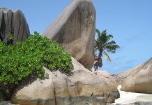 seychelles-795230_1280.jpg
