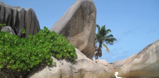 seychelles-795230_1280.jpg