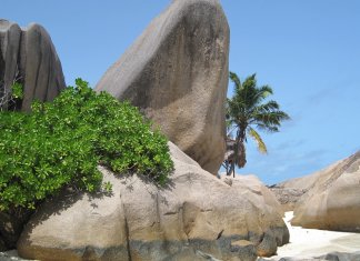 seychelles-795230_1280.jpg