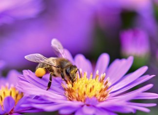 Projektowanie ogrodów przydomowych – studia jako początek kariery w branży wellness, rekreacji i terapii ogrodowej Werka - projektowanie ogrodów przydomowych studia (4).jpg