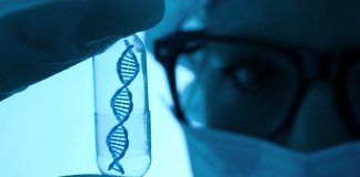 Badanie AMH: Klucz do zrozumienia płodności i planowania rodziny gyncentrum - gync badania genetyczne 1435.jpg