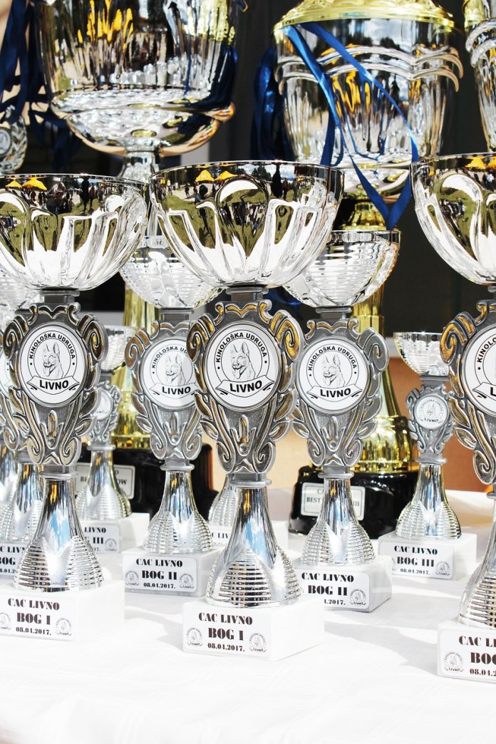 statuetka-szklana-z-grawerem-3 statuetka szklana z grawerem 3.jpg
